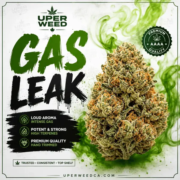 Gas Leak