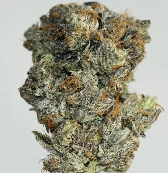 Pink Death Breath
