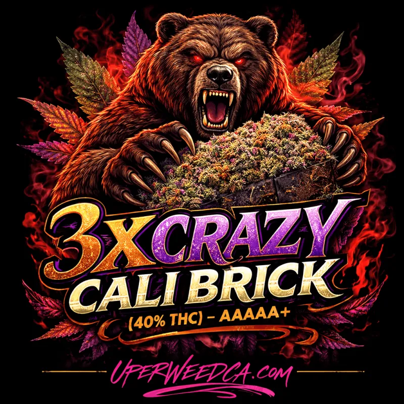 3X Crazy photo 1