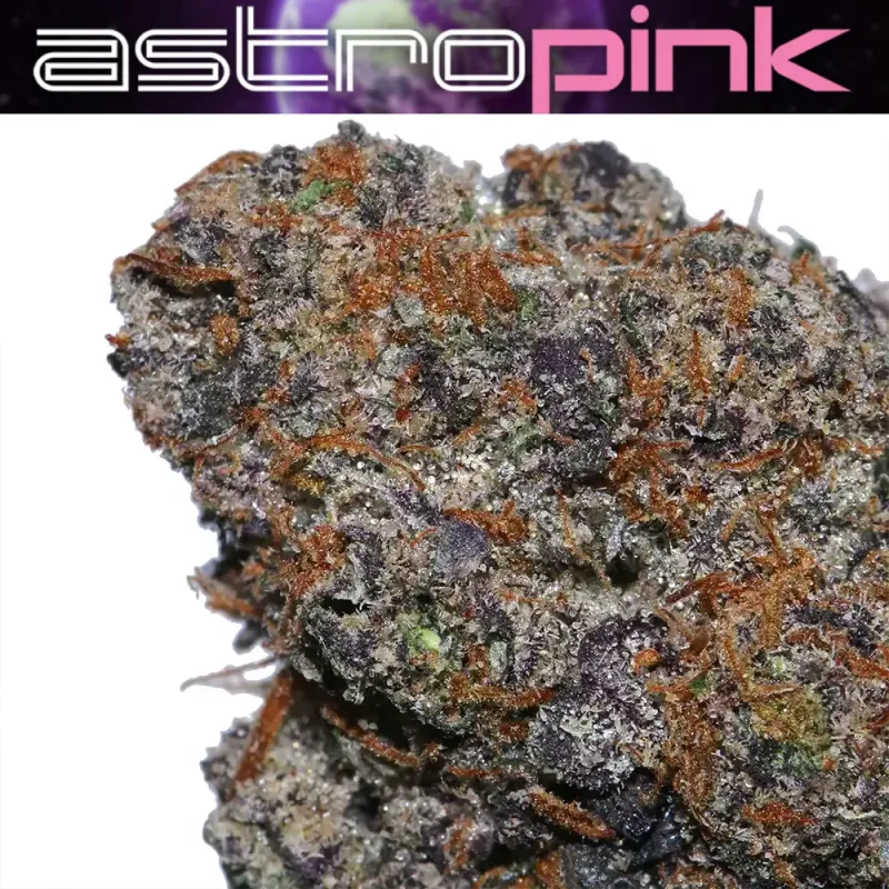 Astro Pink photo 1