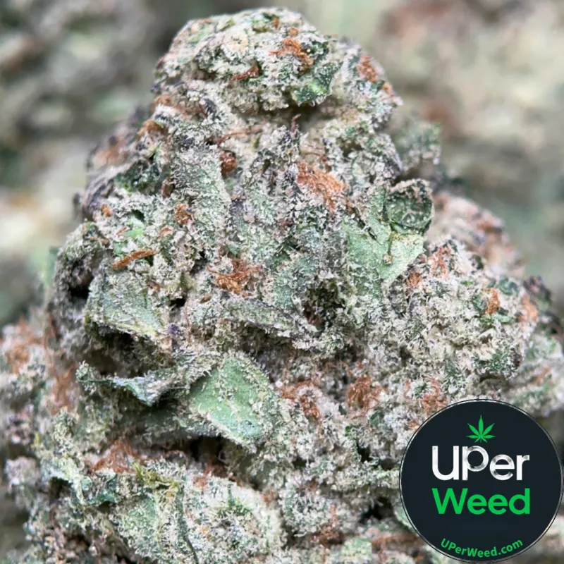 Blue Dream photo 1