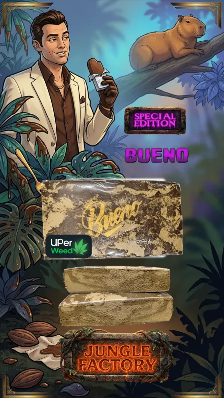 Bueno Hash photo 1