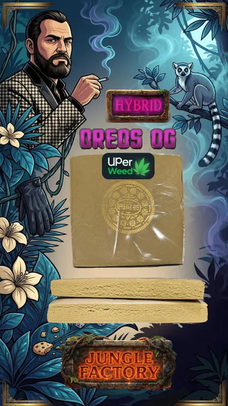 Bueno Hash photo 2