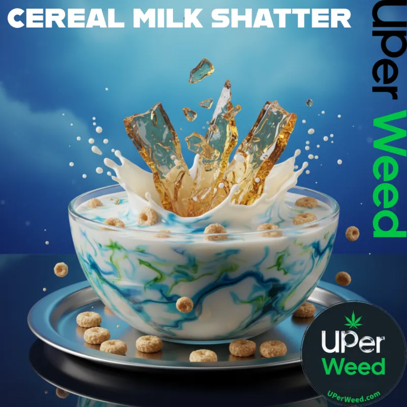 Cereal Milk Shatter photo 1