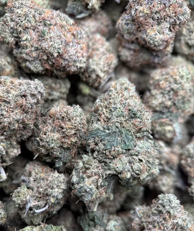 Death Under OG photo 4