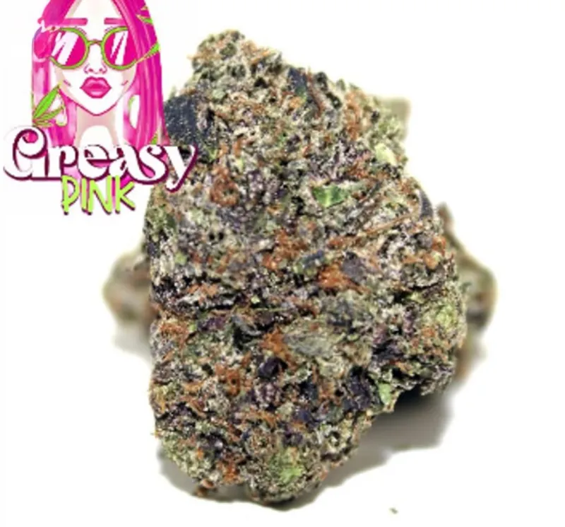 Greasy Pink photo 1