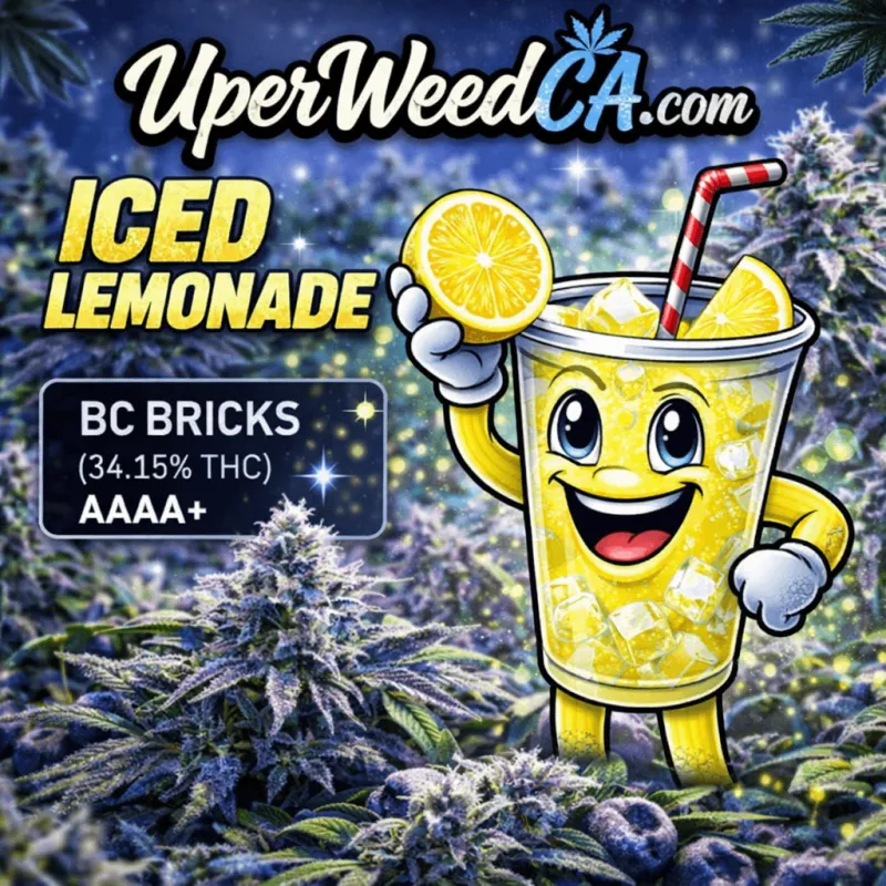 Iced Lemonade photo 1