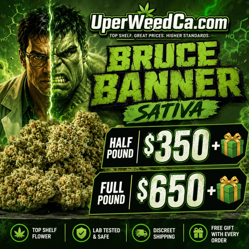 Bruce Banner photo 1