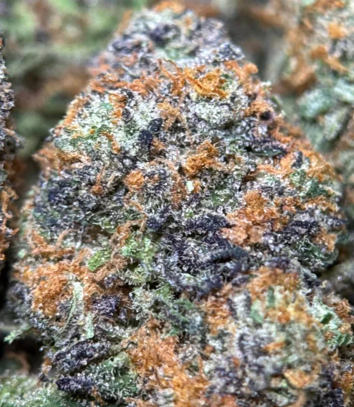Alien Candy Kush photo 1