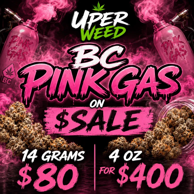BC Pink Gas photo 1