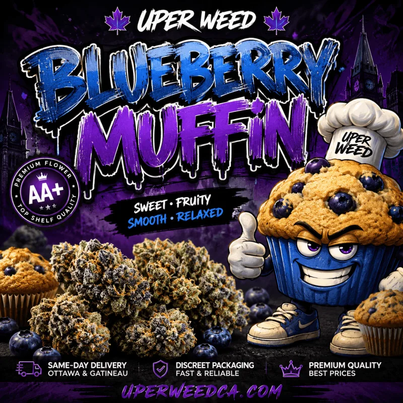Blueberry Muffin photo 1