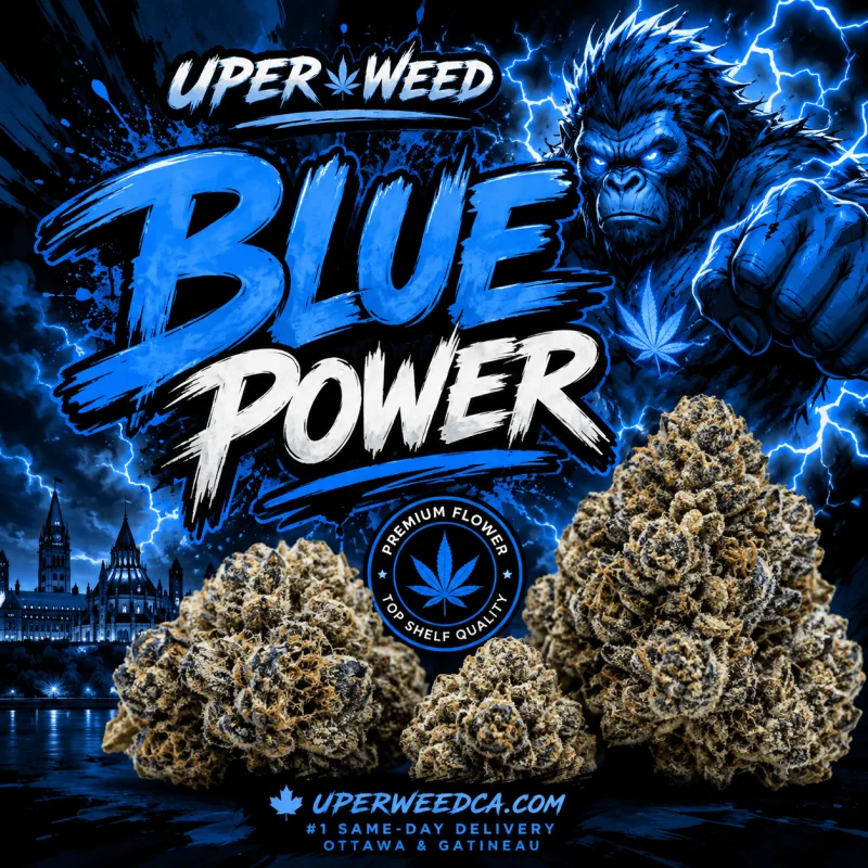 Blue Power photo 1