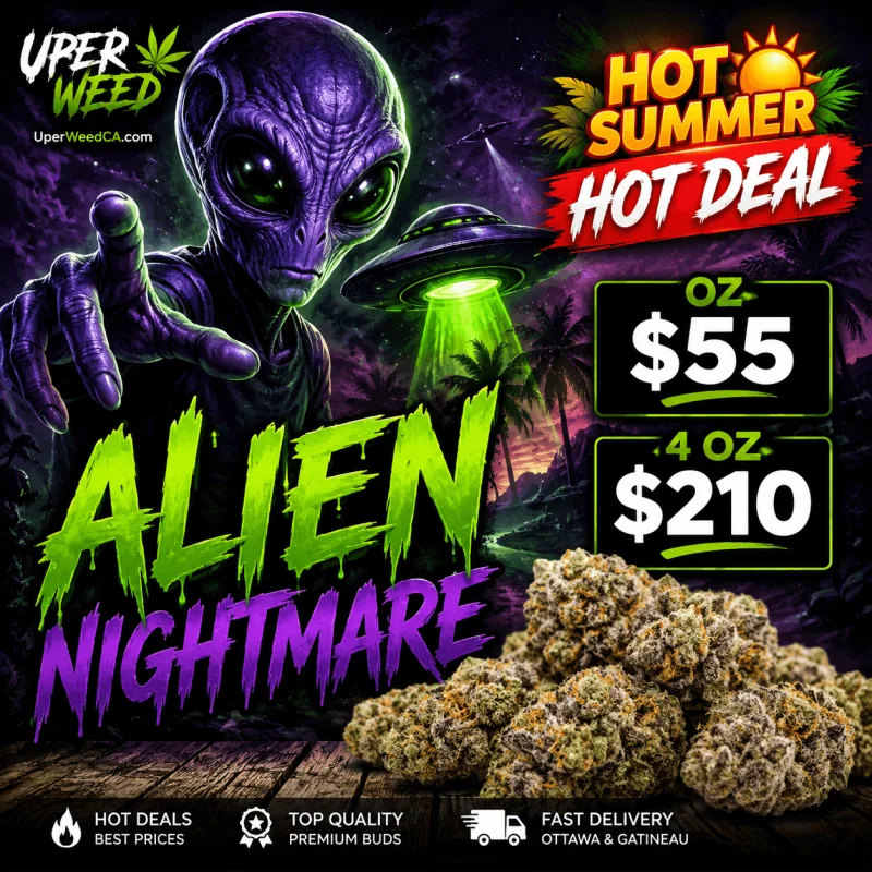 Alien Nightmares photo 1