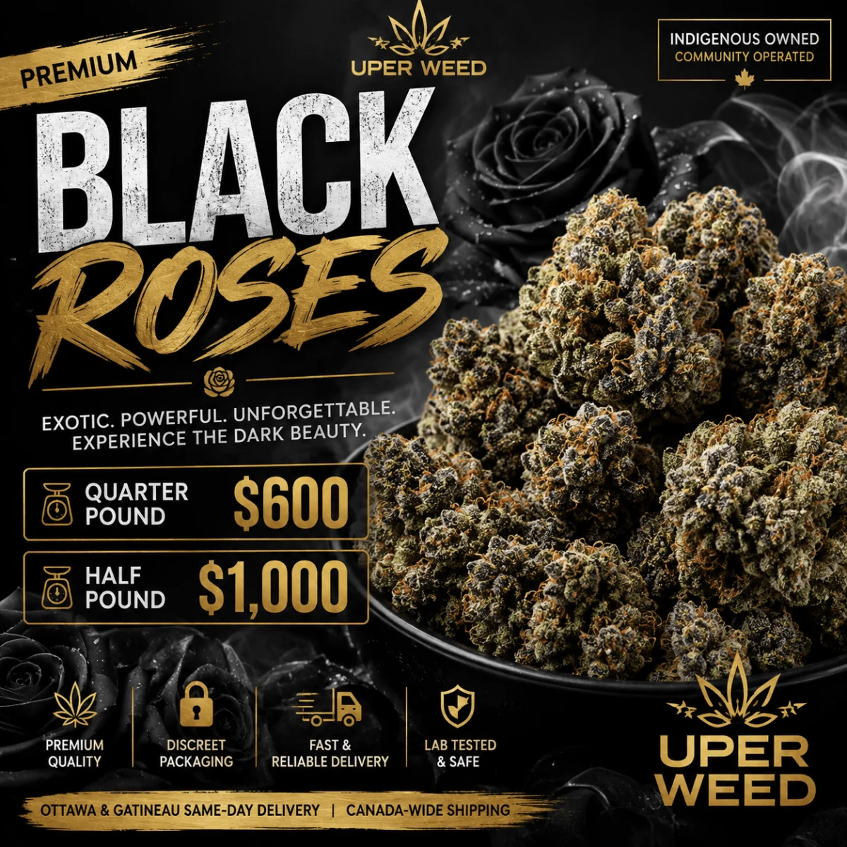 Black Roses photo 1