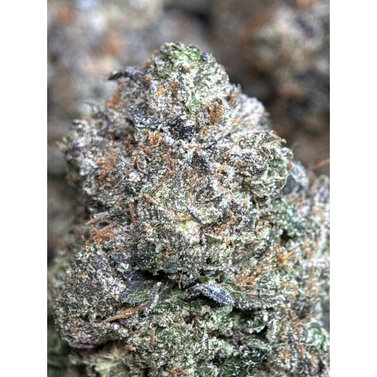 Death Bubba photo 1