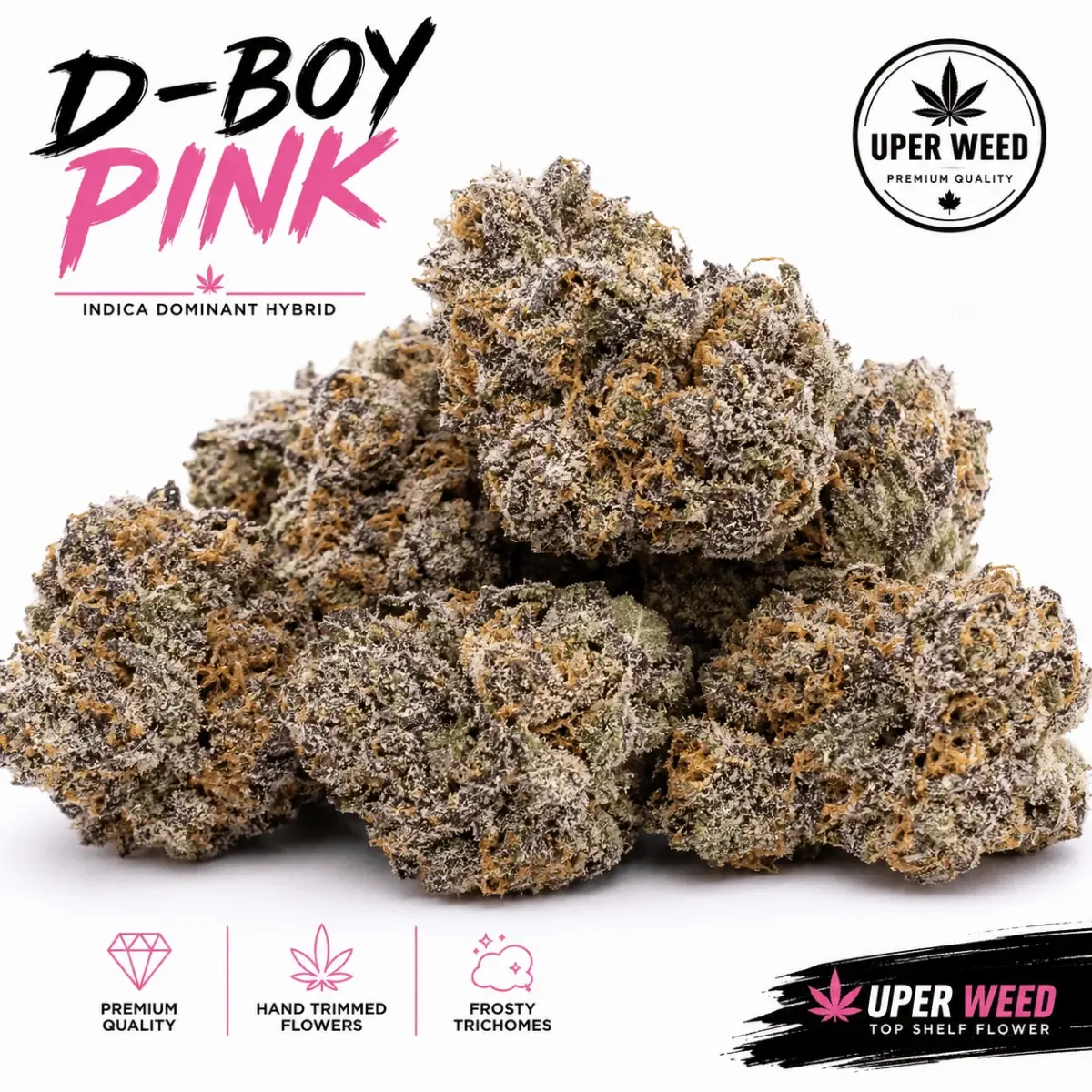 D-Boy Pink photo 1