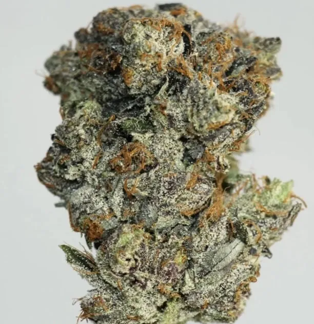 Pink Death Breath photo 1